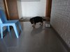 IMG_20181024_183651.jpg