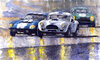 duel-ac-cobra-and-shelby-daytona-coupe-1965-yuriy-shevchuk.jpg
