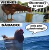 97C4B1C5-AC16-43CC-9F41-61D63179B633.jpeg