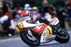 Roberts2-300x200.jpg