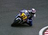 Gardner2-300x220.jpg