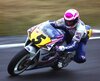 Gardner3-300x244.jpg