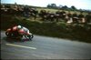 Surtees2-300x198.jpg