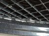 IMG_20200310_183242.jpg