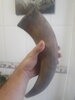 20200516_210701.jpg