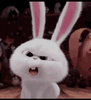 61BC3C52-F301-408B-9BCC-D26064235F2E.gif