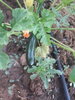 20200614_215634.jpg