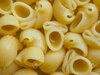 34146934-caracoles-pasta-de-macarrones-tradicional-comida-mediterránea-de-italia.jpg 34146934-caracoles-pasta-de-macarrones-tradicional-comida-mediterránea-de-italia.jpg