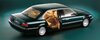 BMW-Serie-7-Evolucion-17-1208x483.jpg