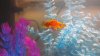 IMG_20140908_213719.jpg