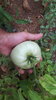 20200721_190824.jpg