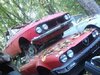 cb9b36edd1465ba834170280e55f4691.jpg