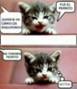 upload_2020-10-21_9-46-14.png