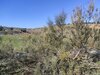IMG_20210117_133046.jpg