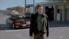 TightGreedyCuttlefish-small.gif