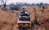 fiat124_special.jpg