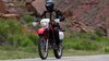 honda-xr-650-l-3.jpg