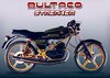 bultaco-streaker-1-855x611.jpg