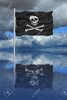3761655-ilustración-de-la-bandera-pirata-que-refleja-en-el-agua.jpg