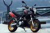 aprilia-pegaso-650-factory-vd-1-855x570.jpg