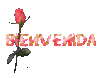Bienvenida_1.gif