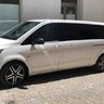 viano29