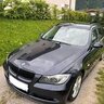 Pacheno