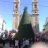 selollo