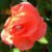 ionutflorin1986