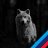 Wolf_