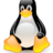 ffcastro