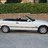 tomato330ci